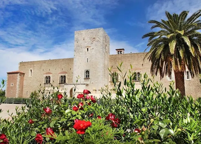 Campo Santo Perpignan Appartement 2 Chambres Centre Historique