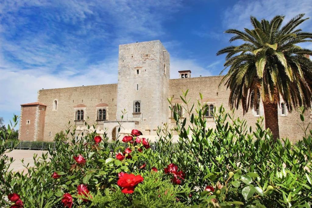 Apartment Campo Santo 2 Centre Historique Perpignan